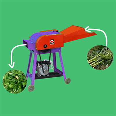 Product Photo